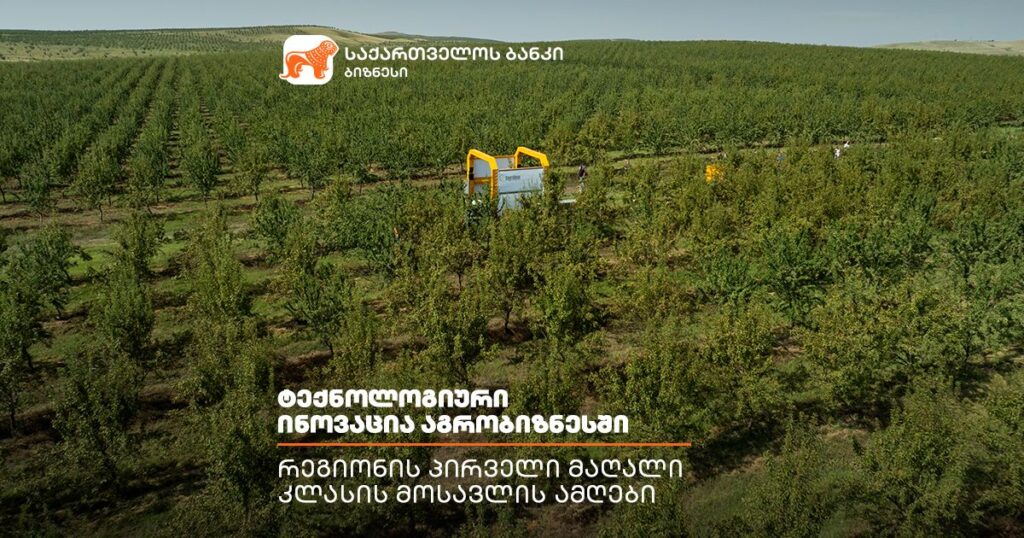 პირველი მაღალი კლასის მოსავლის ამღები რეგიონში: შედეგები