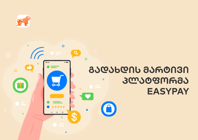 EasyPay - გადახდის მარტივი პლატფორმა საქართველოდან