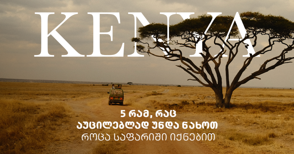 აფრიკის საფარი: ქართველების 5 დაუვიწყარი ისტორია