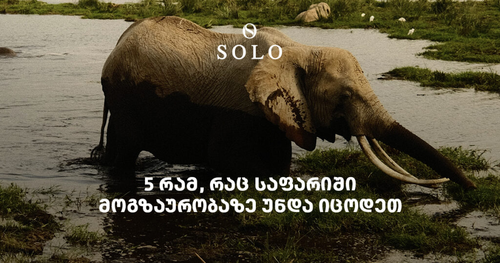 5 რამ, რაც საფარიში მოგზაურობაზე უნდა იცოდეთ