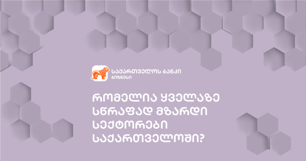 საქართველოს ეკონომიკა: რომელი სექტორები ლიდერობენ ზრდაში?