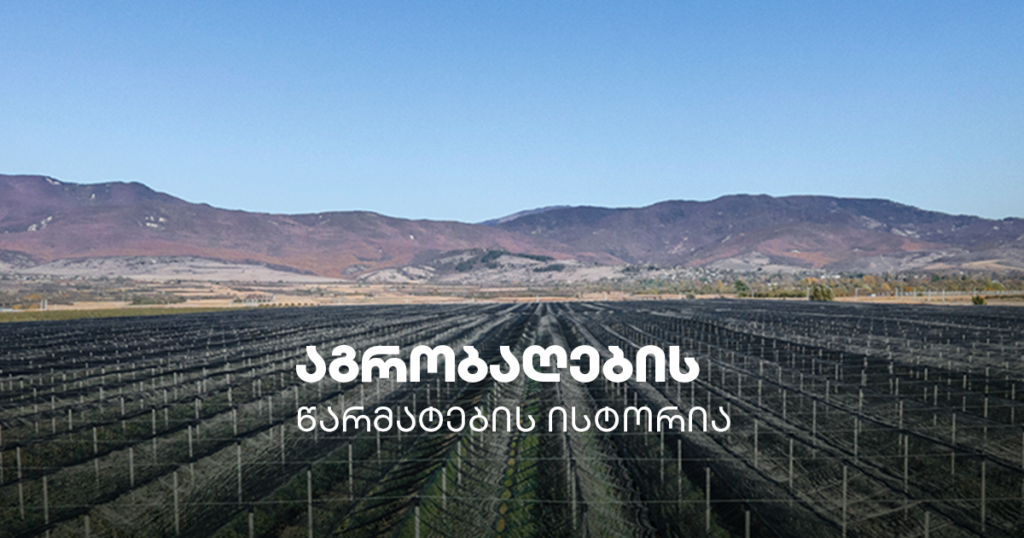 გორი: ვაშლის ბიზნესის ახალი ერა – „აგრობაღების“ ამბავი