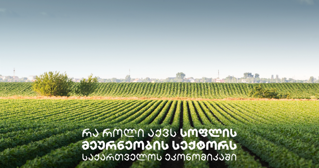 საქართველოს სოფლის მეურნეობა: აღმოაჩინე ზრდის პოტენციალი