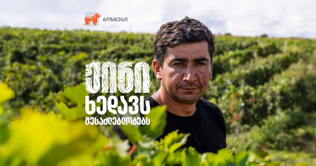 0-დან 400 ტონამდე: თაბუაშვილის ჟინი და ღვინით დაწყებული დიდი მეურნეობა