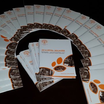 სიცოცხლის ხემ წლიური ანგარიში წარადგინა