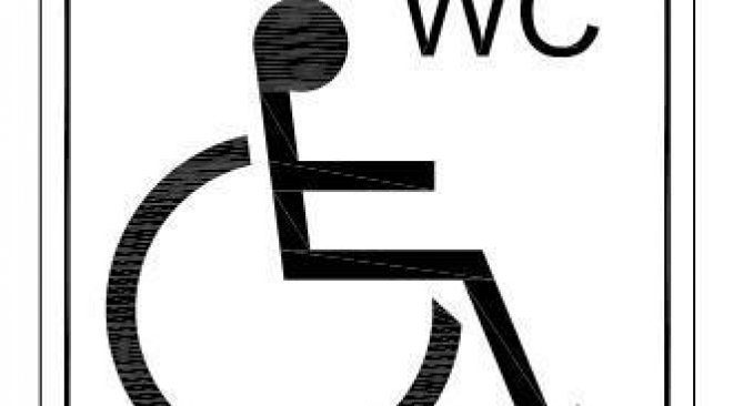 სარეკრეაციო ზონები შშმ პირებისათვის