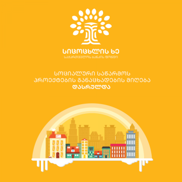 საქართველოს ბანკის ფონდ სიცოცხლის ხის მიერ გამოცხადებულ საგრანტო კონკურსში განაცხადების მიღება დასრულდა.