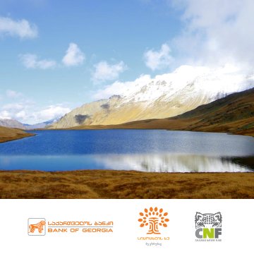 ფონდ “სიცოცხლის ხის” მეშვეობით “კავკასიის ბუნების ფონდი” საქართველოს დაცული ტერიტორიების მხარდაჭერისთვის საქართველოს ბანკისგან 100 000 აშშ დოლარის მოცულობის დაფინანსებას მიიღებს