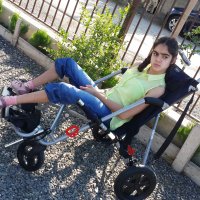 ქველმოქმედება AmEx ბარათის მფლობელებისგან